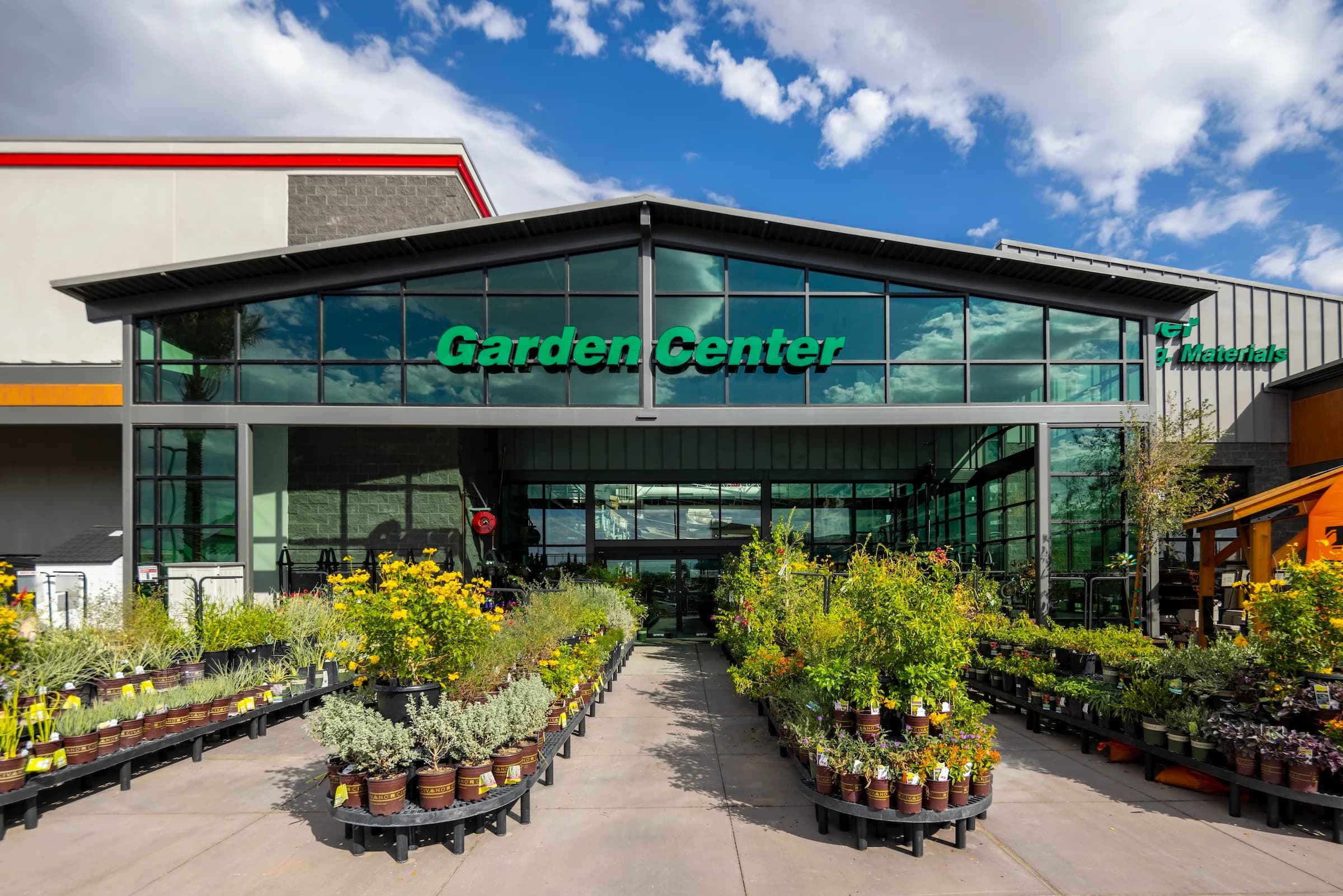 Artie’s Ace at Cadence - View 2