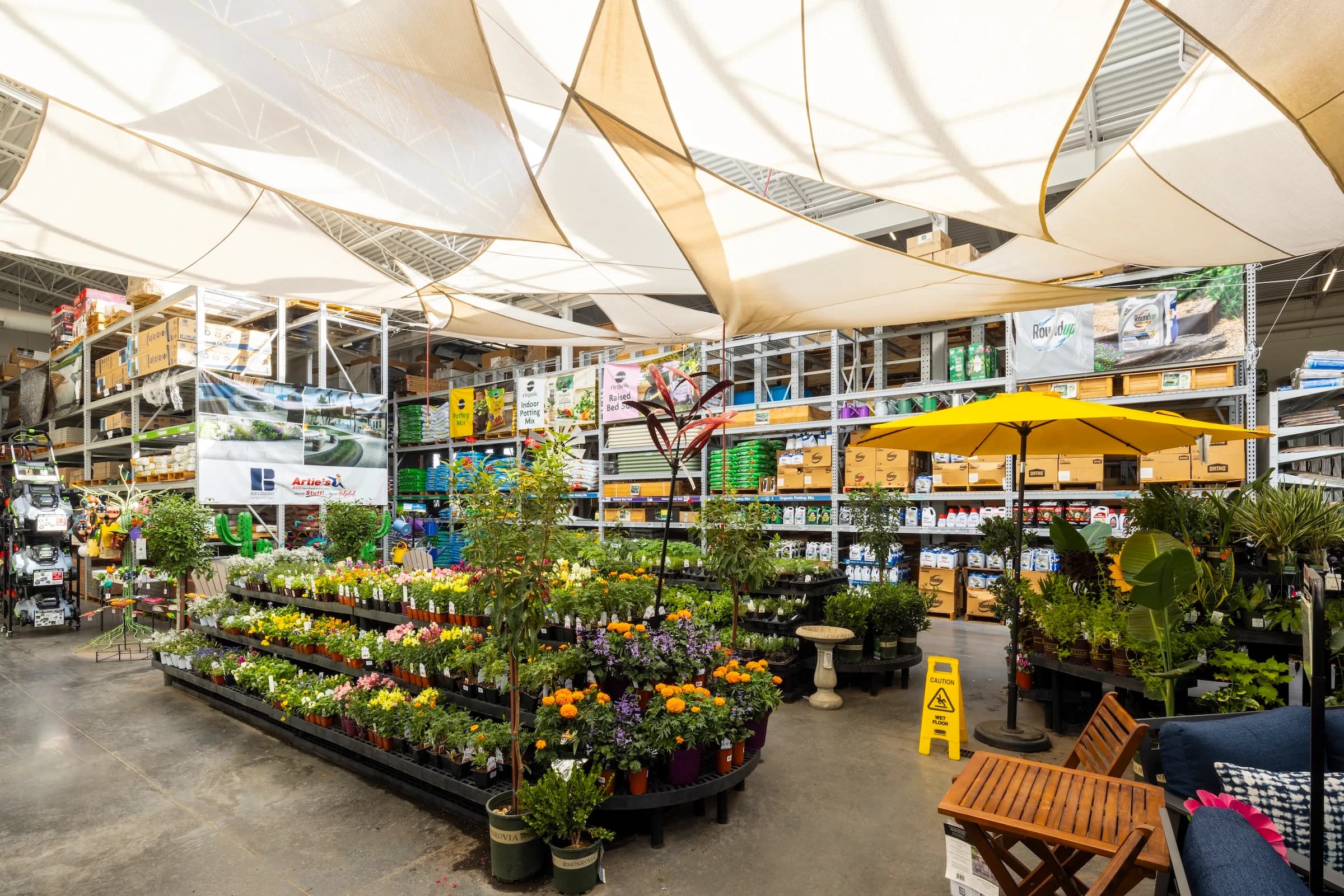 Artie’s Ace at Cadence - View 3